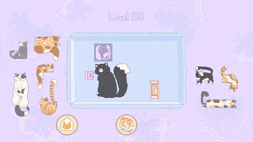 Скриншот 4 к игре Cats in Boxes