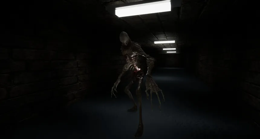 Скриншот 1 к игре The Corridors