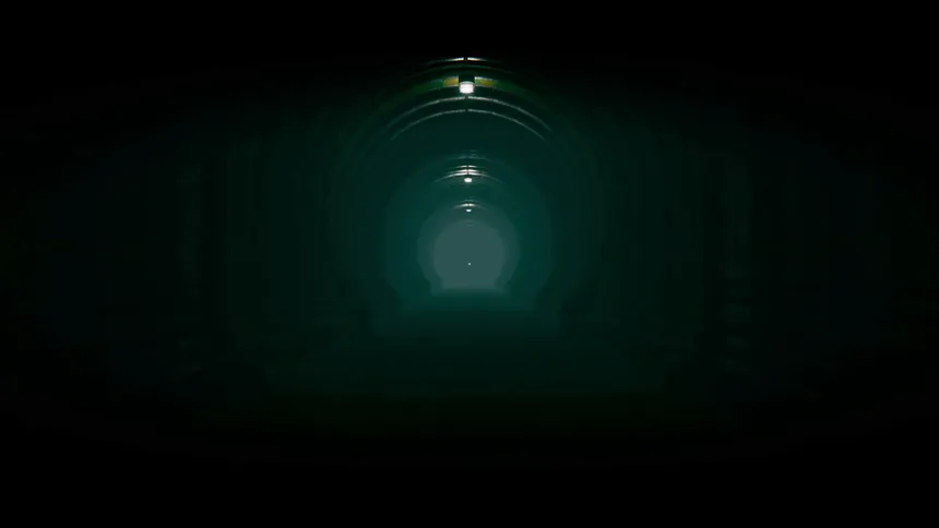 Скриншот 1 к игре The Silent Forests