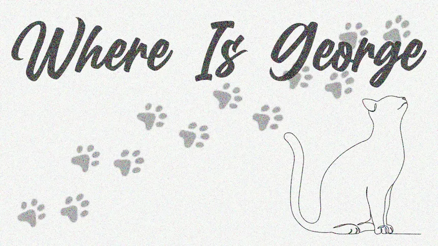 Скриншот 7 к игре Where Is George