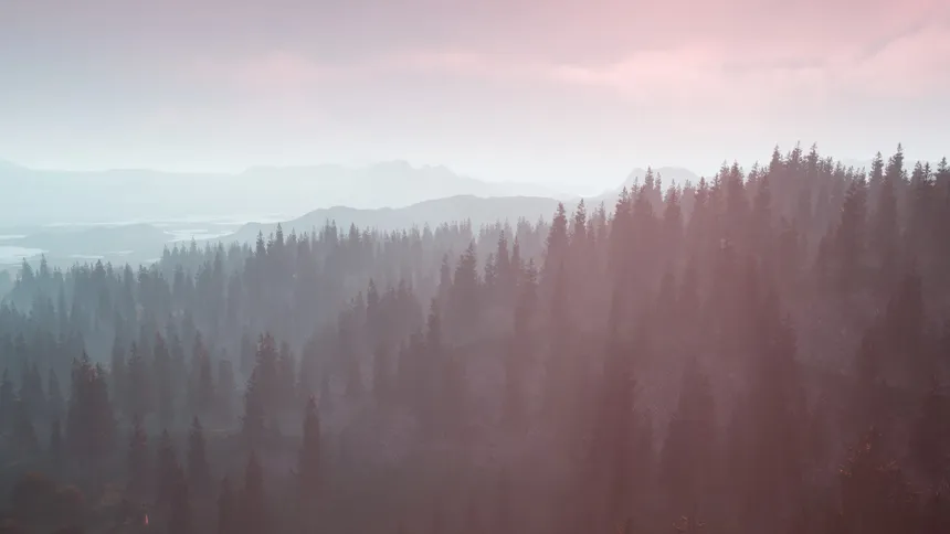 Скриншот 6 к игре Wildwood: Hearth & Horizon