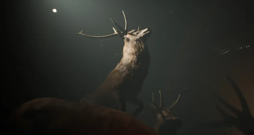 Скриншот 1 к игре Project 13: Taxidermy Trails