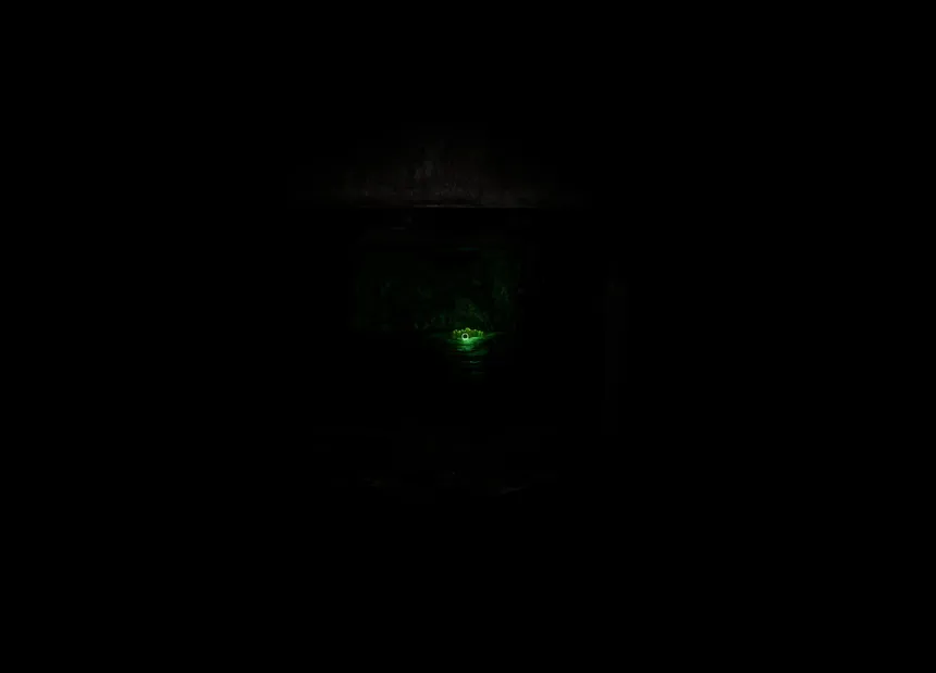 Скриншот 2 к игре What Lurks Inside