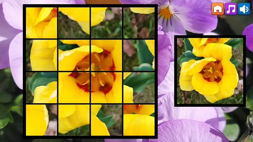Скриншот 3 к игре OG Puzzlers: Spring 2K24