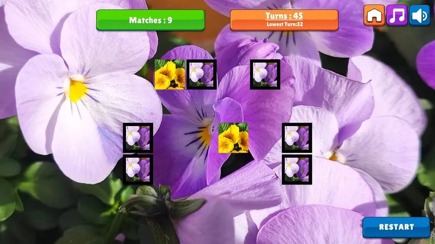 Скриншот 3 к игре OG Memory: Spring 2K24