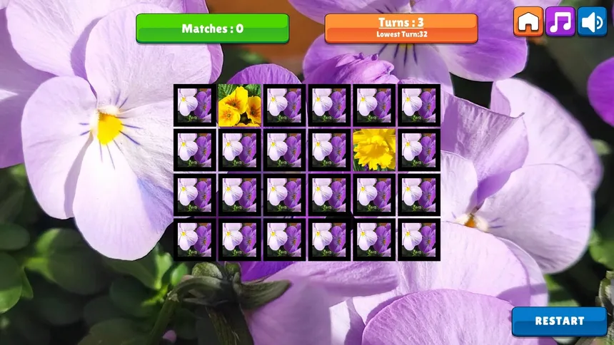 Скриншот 7 к игре OG Memory: Spring 2K24
