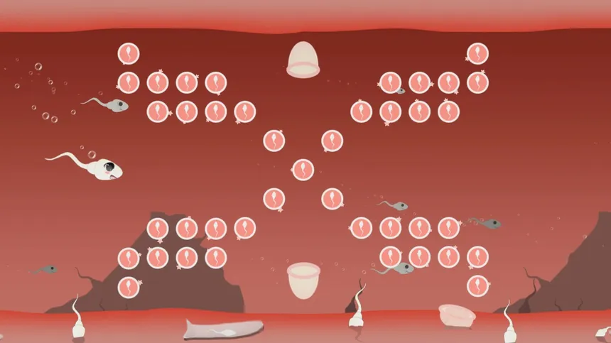 Скриншот 1 к игре Fallopian Frenzy! Come Again?