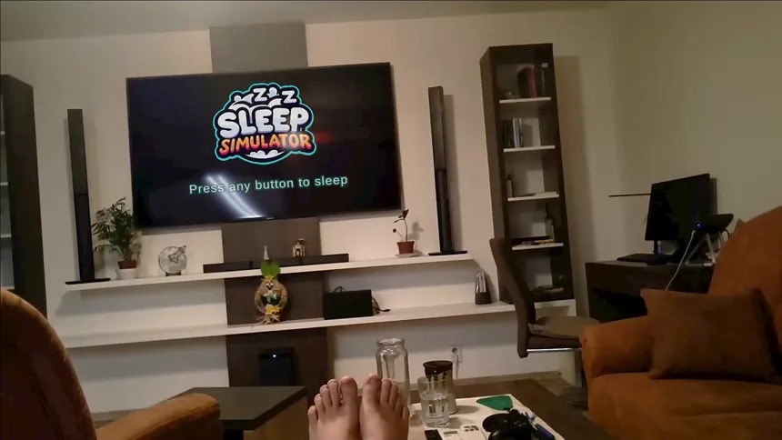 Скриншот 1 к игре Sleep Simulator