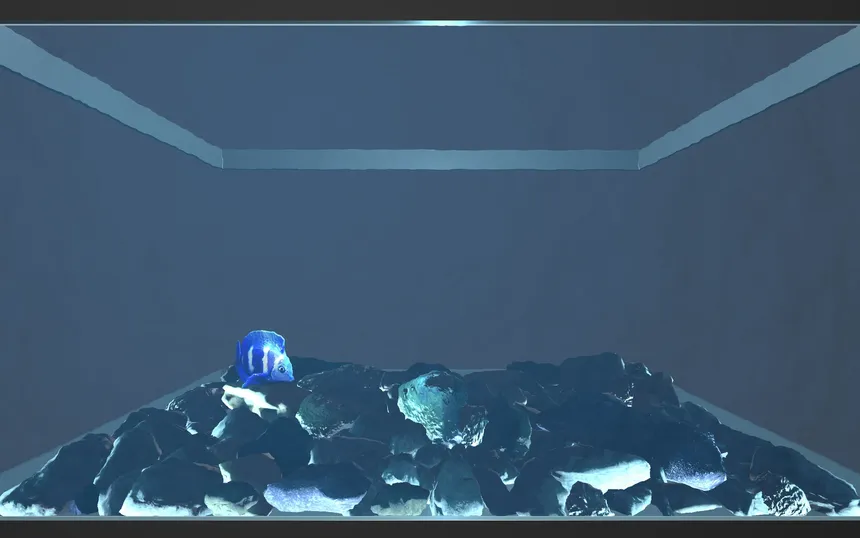 Скриншот 2 к игре Aquario