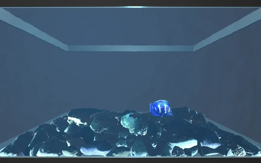 Скриншот 3 к игре Aquario