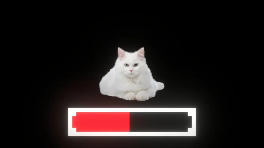 Скриншот 2 к игре Cat Clicker