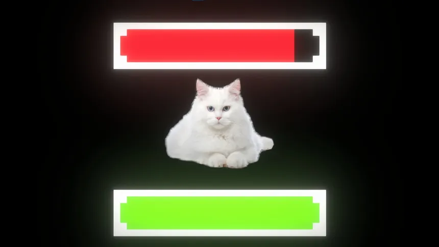 Скриншот 3 к игре Cat Clicker