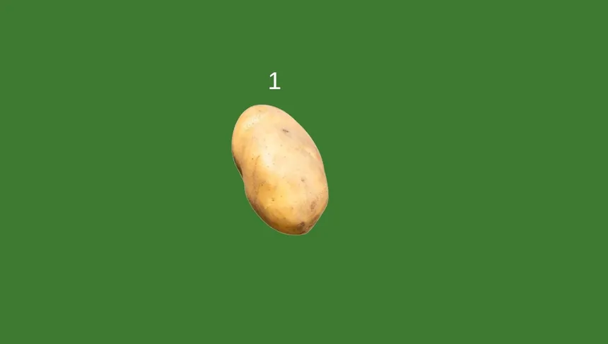 Скриншот 2 к игре Potato
