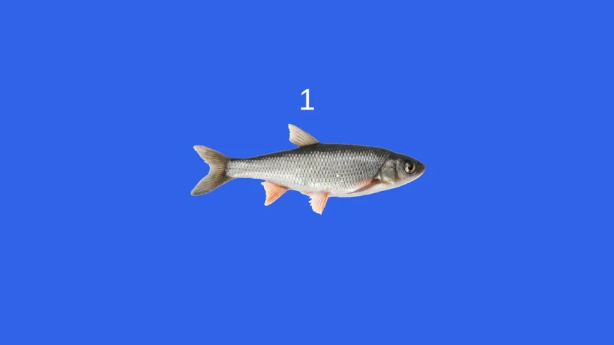 Скриншот 2 к игре Fish