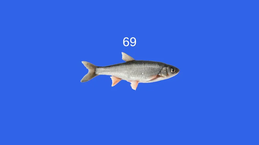 Скриншот 4 к игре Fish