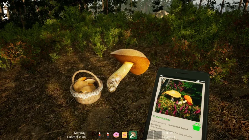 Скриншот 3 к игре Mushroom Season