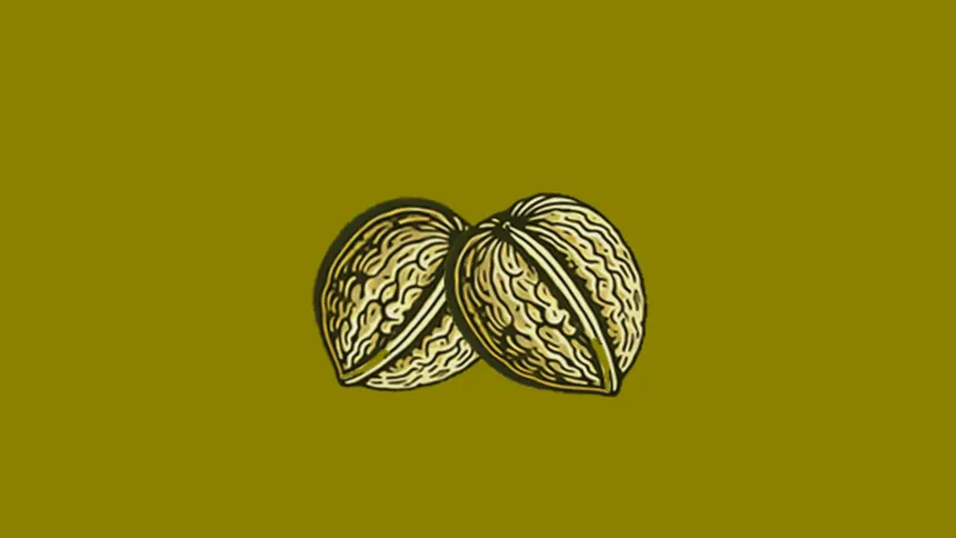 Скриншот 1 к игре Nuts