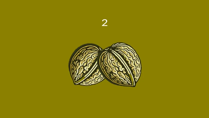 Скриншот 3 к игре Nuts
