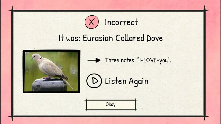 Скриншот 3 к игре BirdLingo: A birdsong learning game
