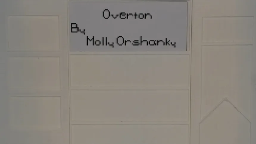 Скриншот 1 к игре Overton