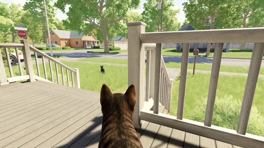 Скриншот 1 к игре Reign of Cats
