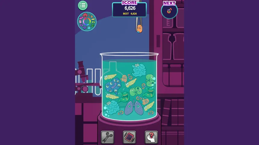 Скриншот 1 к игре 臓器ゲーム-MergePuzzle-
