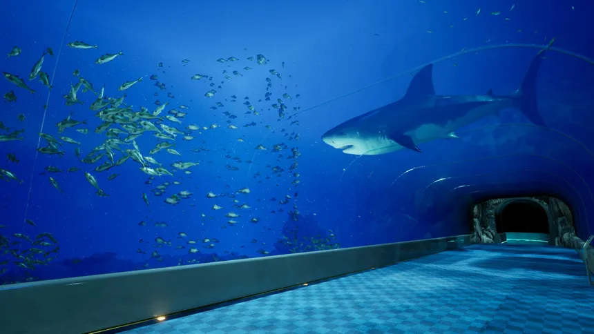 Скриншот 1 к игре 8月32日の水族館