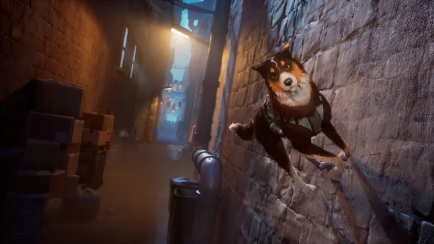 Скриншот 3 к игре Barkour