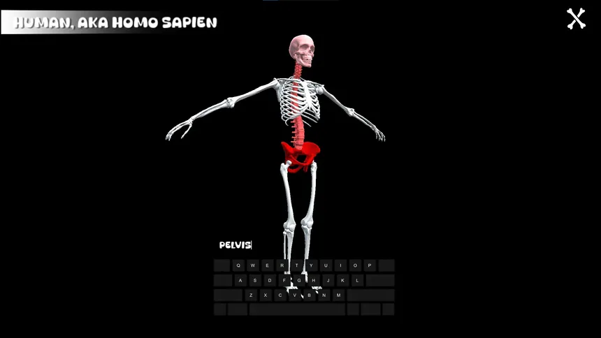 Скриншот 2 к игре BONLE