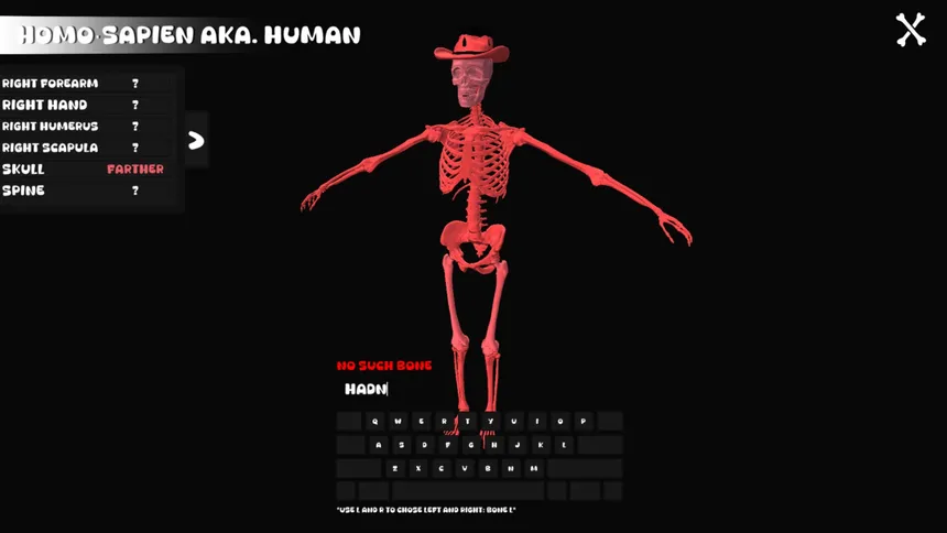 Скриншот 5 к игре BONLE