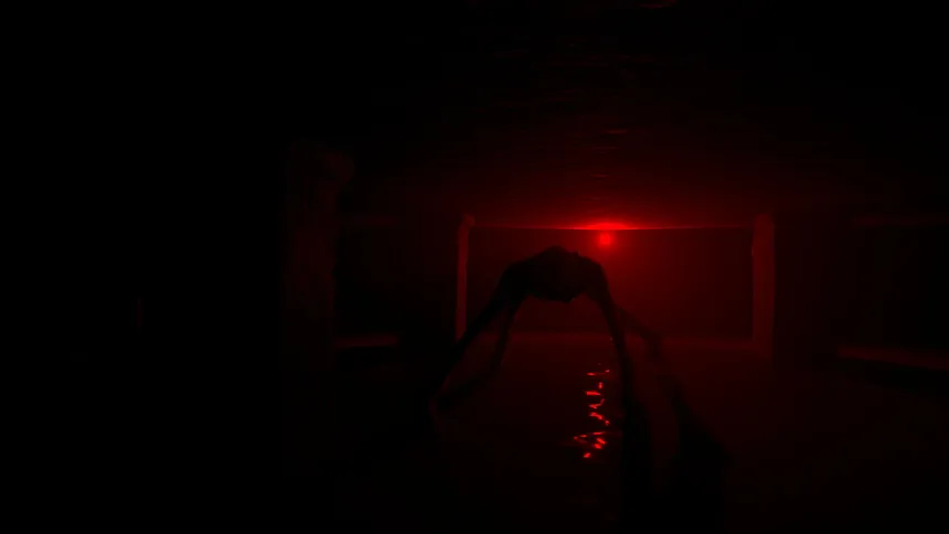 Скриншот 1 к игре ENTWINE