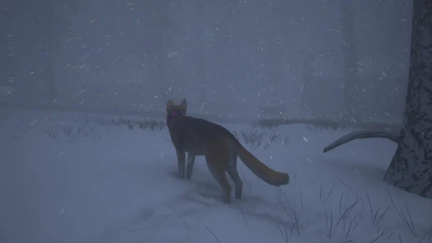 Скриншот 5 к игре The Good Dog: Chasing Shadows