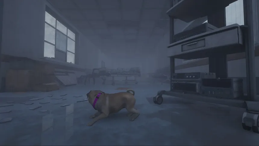 Скриншот 8 к игре The Good Dog: Chasing Shadows