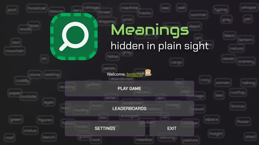 Скриншот 1 к игре Meanings hidden in plain sight