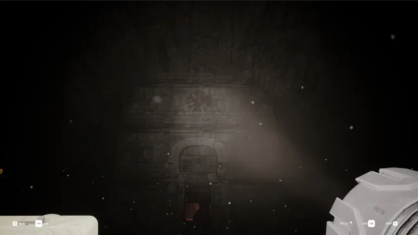 Скриншот 1 к игре Echoing Silence