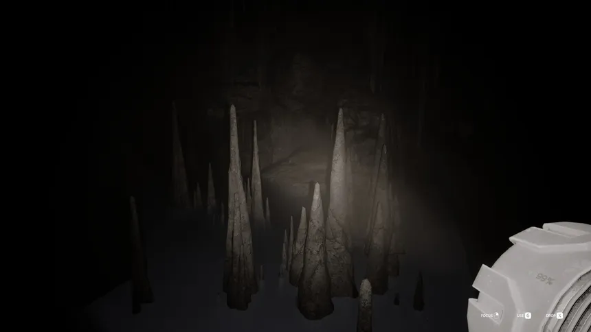 Скриншот 4 к игре Echoing Silence