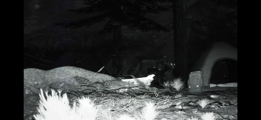 Скриншот 2 к игре TRAILCAM
