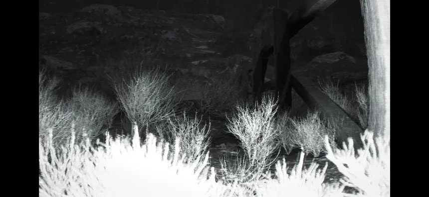 Скриншот 5 к игре TRAILCAM