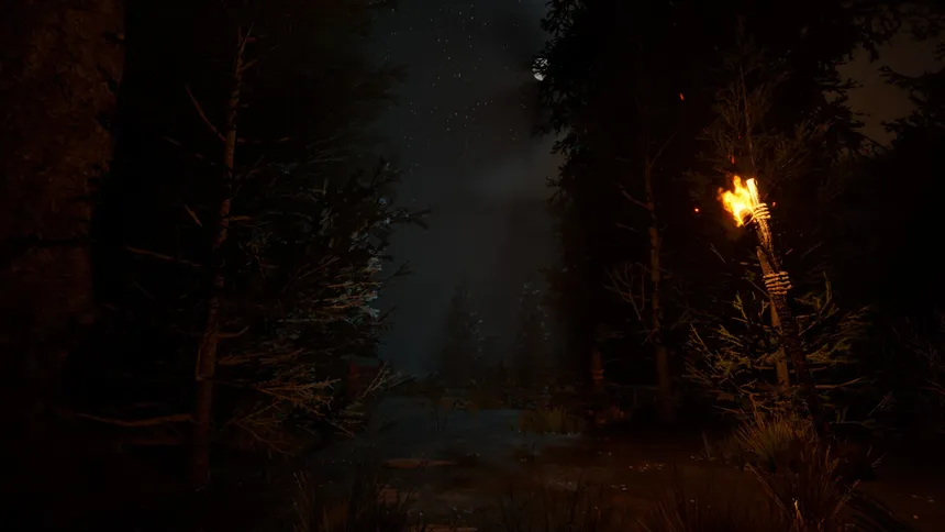 Скриншот 4 к игре The veil of the forgotten