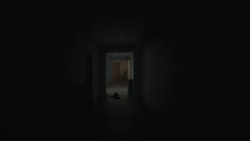 Скриншот 4 к игре The Vanished Soul
