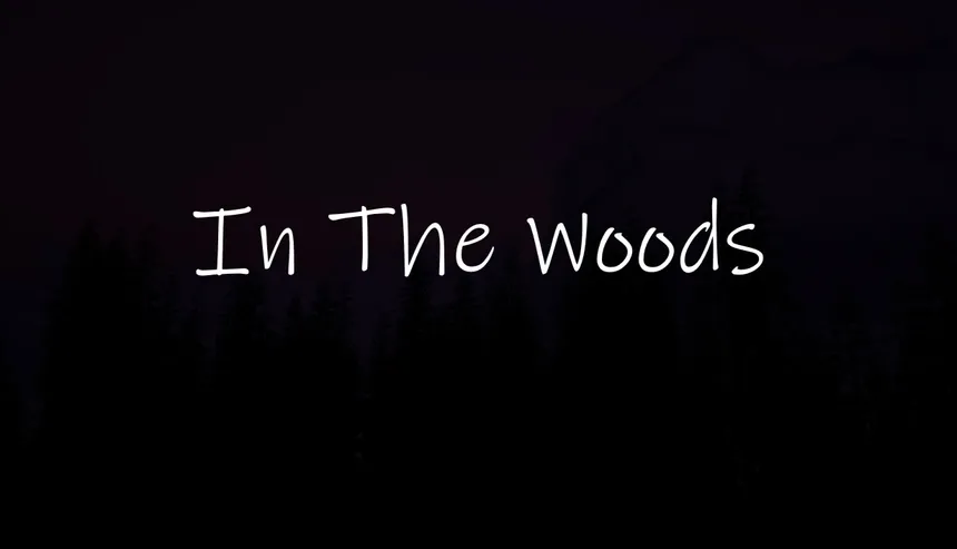 Скриншот 1 к игре In The Woods