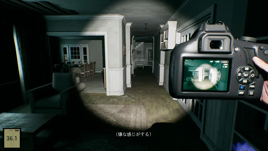 Скриншот 1 к игре 幽霊写真-GhostShot