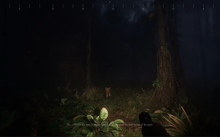 Скриншот 5 к игре Saci: The Cursed Hunt
