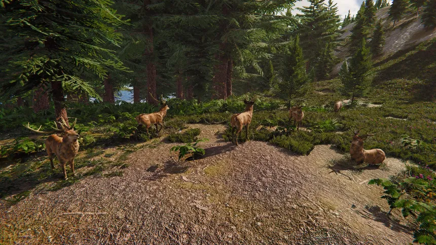 Скриншот 5 к игре The Lost Hunter