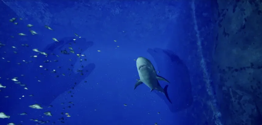 Скриншот 1 к игре ８月３２日の水族館VR