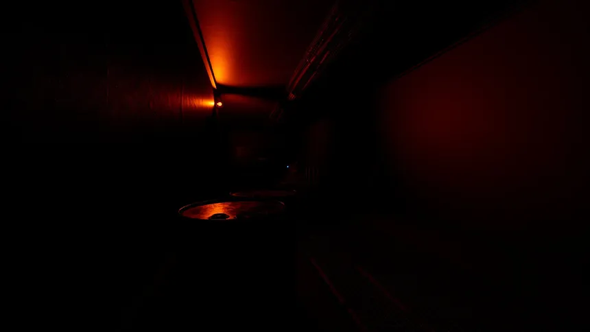 Скриншот 4 к игре SCP: Destruction Protocol