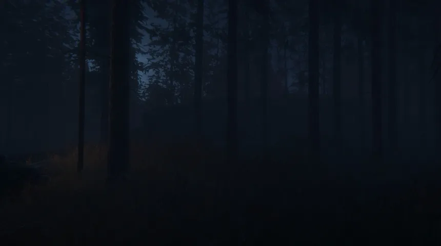 Скриншот 5 к игре The Cursed Ritual