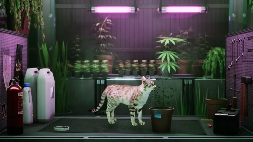 Скриншот 1 к игре Catfall