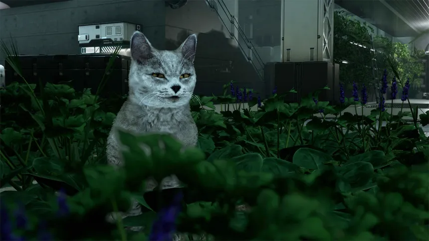 Скриншот 5 к игре Catfall