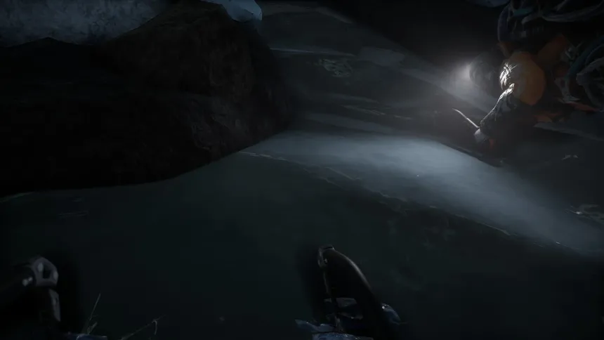 Скриншот 2 к игре The Long Cold